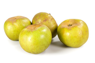 quattro mele renette