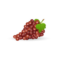 grapes with leaf