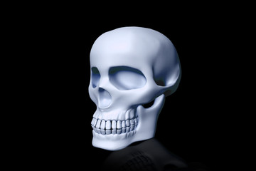 Skull