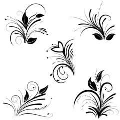 floral background