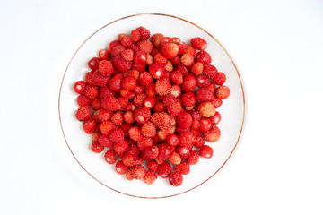 Top view of plate full of wild strawberries isolated on white