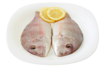 fresh fish on a plate