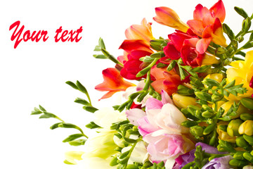 flowers