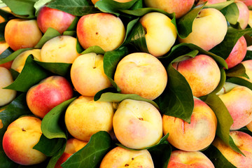 Nectarines