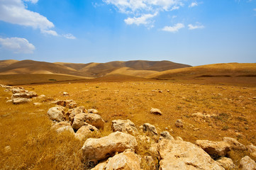 Israel Desert