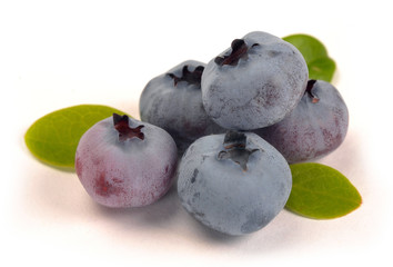 blueberry and green leaves