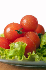 Tomatoes and lettuce on the white background