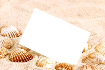 Muschel, sand, karte