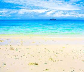 Background Beach Beauty