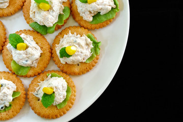 tuna salad with crackers