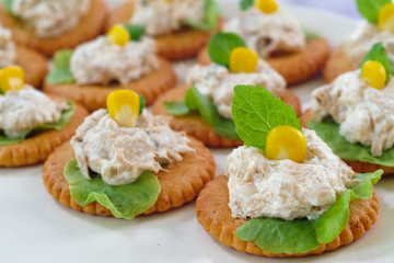 tuna salad with crackers