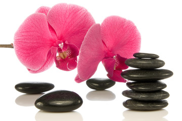 Fototapeta na wymiar pebbles with beautiful orchid over a white background.