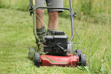 Obraz premium Mowing