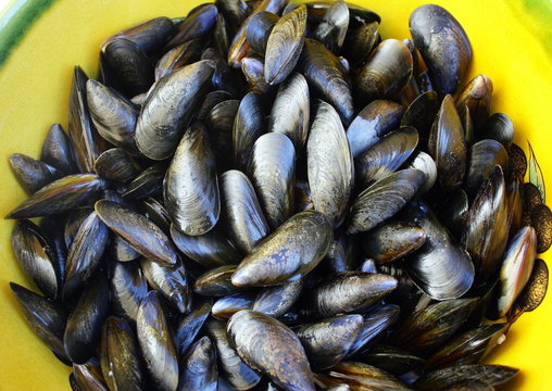 moules ferm&eacute;es
