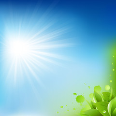 Green And Blue Background