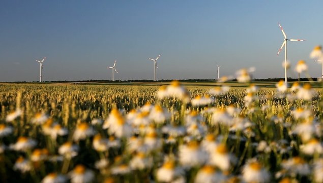 Windr&auml;der