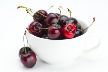 cherries in a bowl isolated on white