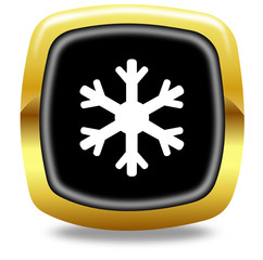 Snowflake button