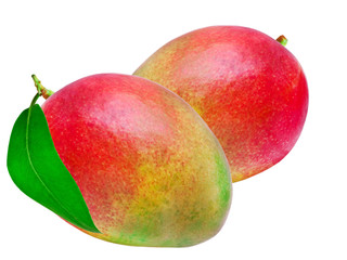 Mango isolated on white background