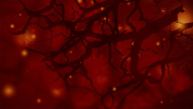 Neurons