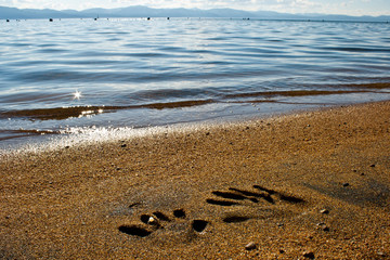 A beautiful landscape of an engaged couples hand prints with a ring and a nice lake background.