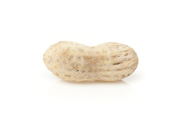 A brown peanut