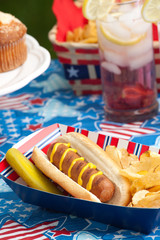 Picnic on 4th of July