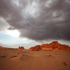 Gobi