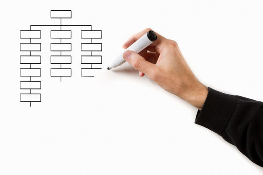 Organigramme