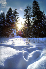 морозный день