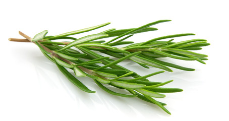 Fototapeta premium Twigs of rosemary