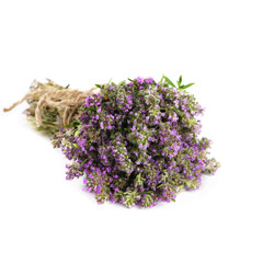 Thyme