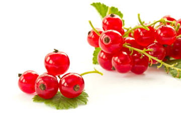 redcurrant