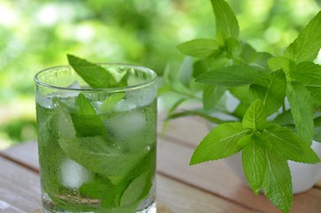 iced mint water