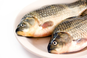 Fresh fish on a plate