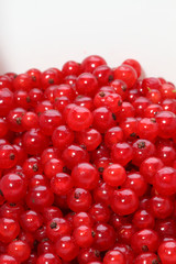 chicchi di ribes rosso