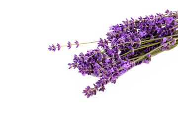 Lavendel