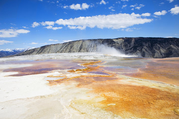 Wide Angle View of Mammoth Hot Springs  in Yellowstone