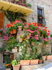Fototapeta na wymiar Kolorowe kwiaty doniczkowe wzdłuż średniowiecznych murów kamiennych we Włoszech