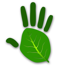 green leaf hand