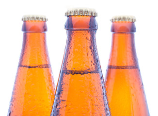beer bottles