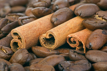 Close-up shot: cinnamon sticks over the coffee beans