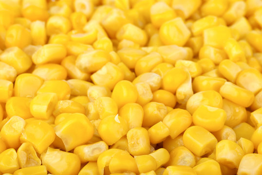 Food background: prepared corn grains