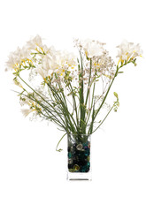 white flowers in a vase