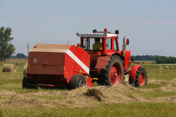 Naklejka premium Red tractor working in the field