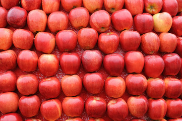 Background of red apples