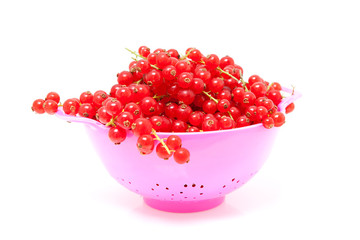 colander with red currant berries over white background