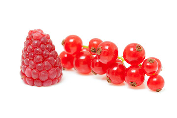 one raspberry and red currant berries in closeup