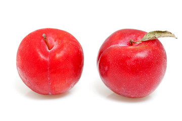 two red plums over white background