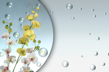 Orchidee con bolle di sapone © Marta&Cla